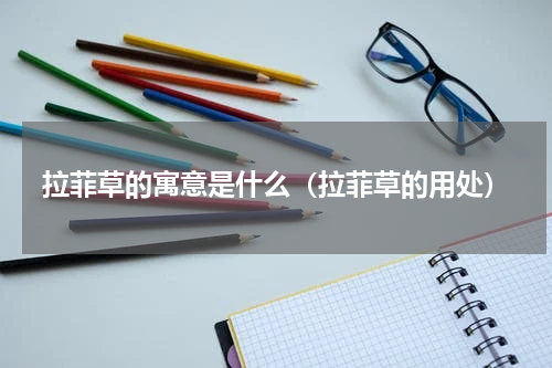 拉菲草的寓意是什么（拉菲草的用处）