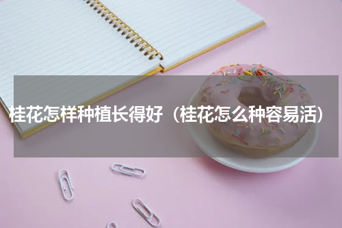 桂花怎样种植长得好（桂花怎么种容易活）