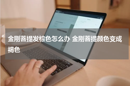 金刚菩提发棕色怎么办 金刚菩提颜色变成褐色