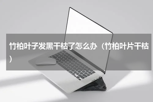 竹柏叶子发黑干枯了怎么办（竹柏叶片干枯）