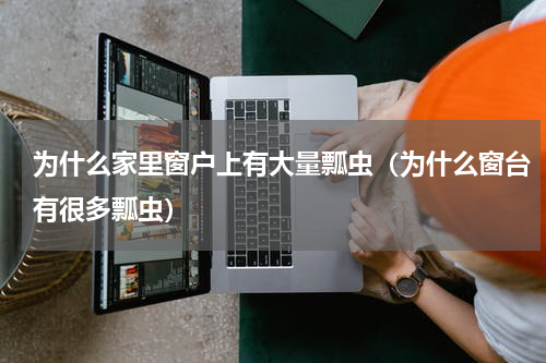 为什么家里窗户上有大量瓢虫（为什么窗台有很多瓢虫）