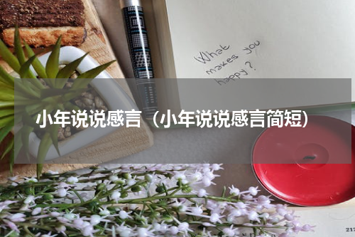 小年说说感言（小年说说感言简短）