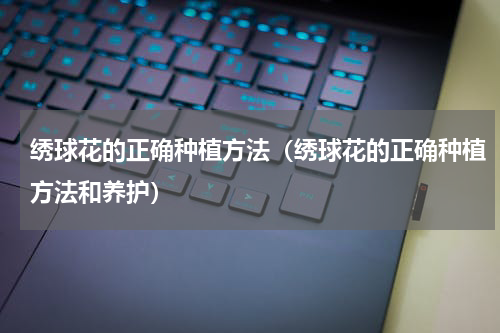 绣球花的正确种植方法（绣球花的正确种植方法和养护）