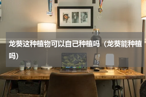 龙葵这种植物可以自己种植吗（龙葵能种植吗）