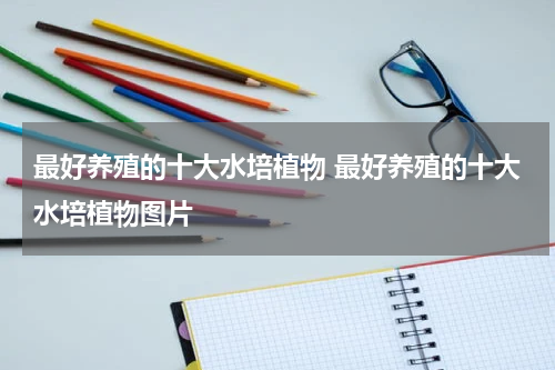 最好养殖的十大水培植物 最好养殖的十大水培植物图片
