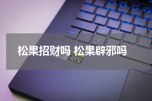 松果招财吗 松果辟邪吗