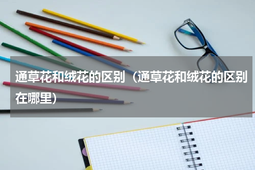 通草花和绒花的区别（通草花和绒花的区别在哪里）