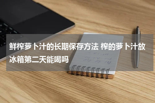 鲜榨萝卜汁的长期保存方法 榨的萝卜汁放冰箱第二天能喝吗
