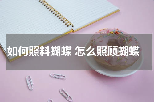 如何照料蝴蝶 怎么照顾蝴蝶