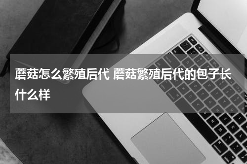 蘑菇怎么繁殖后代 蘑菇繁殖后代的包子长什么样