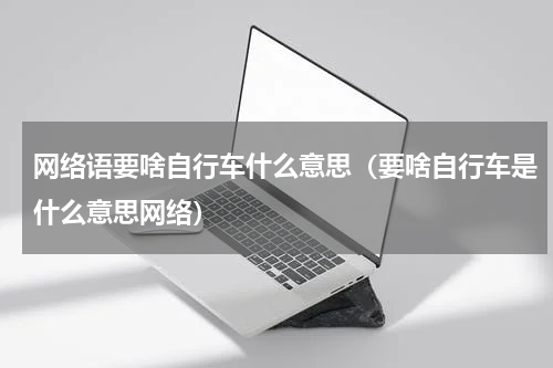 网络语要啥自行车什么意思（要啥自行车是什么意思网络）