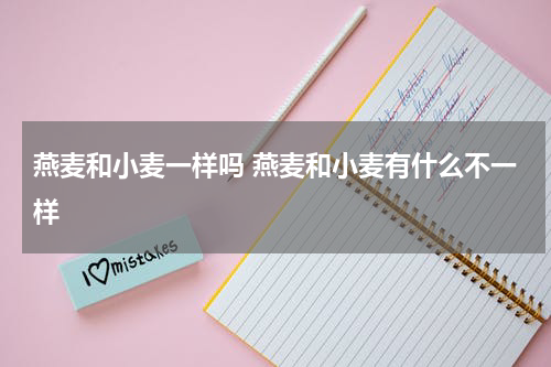 燕麦和小麦一样吗 燕麦和小麦有什么不一样