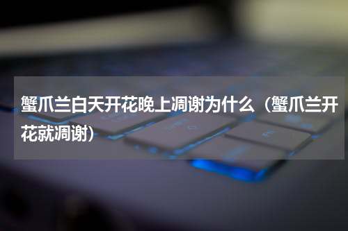 蟹爪兰白天开花晚上凋谢为什么（蟹爪兰开花就凋谢）