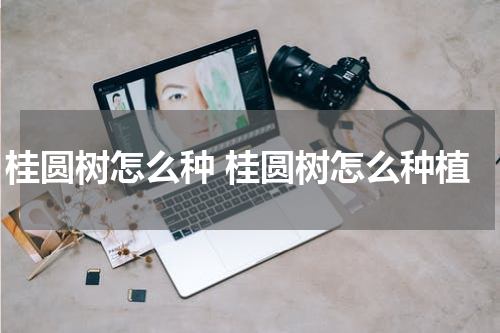 桂圆树怎么种 桂圆树怎么种植