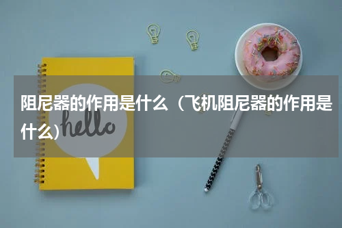 阻尼器的作用是什么（飞机阻尼器的作用是什么）