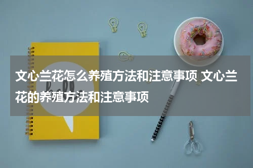 文心兰花怎么养殖方法和注意事项 文心兰花的养殖方法和注意事项
