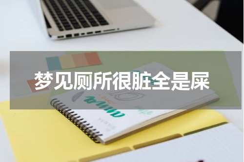 梦见厕所很脏全是屎