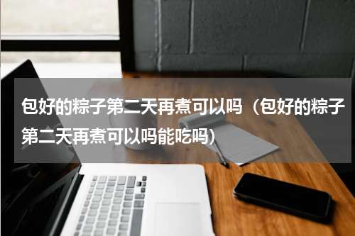 包好的粽子第二天再煮可以吗（包好的粽子第二天再煮可以吗能吃吗）