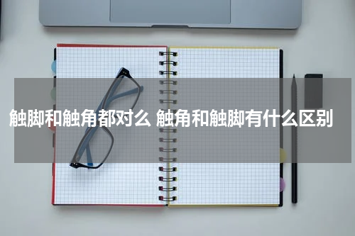 触脚和触角都对么 触角和触脚有什么区别