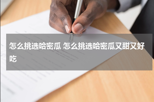 怎么挑选哈密瓜 怎么挑选哈密瓜又甜又好吃