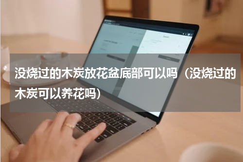 没烧过的木炭放花盆底部可以吗（没烧过的木炭可以养花吗）