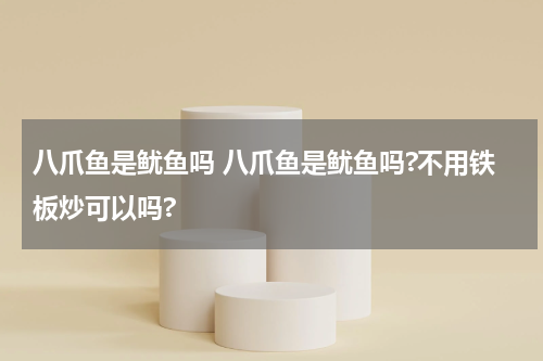 八爪鱼是鱿鱼吗 八爪鱼是鱿鱼吗?不用铁板炒可以吗?