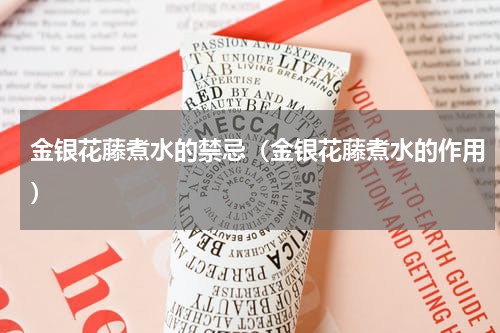 金银花藤煮水的禁忌（金银花藤煮水的作用）