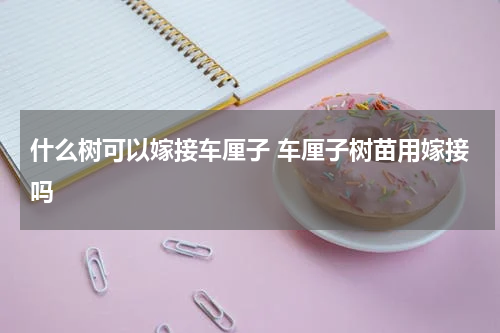 什么树可以嫁接车厘子 车厘子树苗用嫁接吗