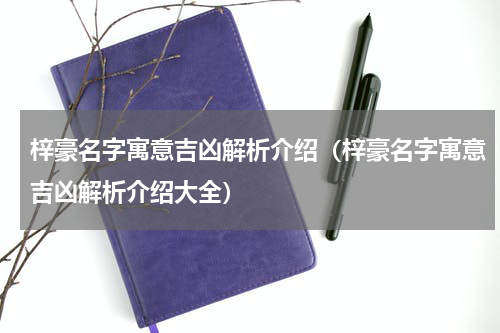 梓豪名字寓意吉凶解析介绍（梓豪名字寓意吉凶解析介绍大全）