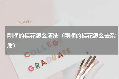 刚摘的桂花怎么清洗（刚摘的桂花怎么去杂质）