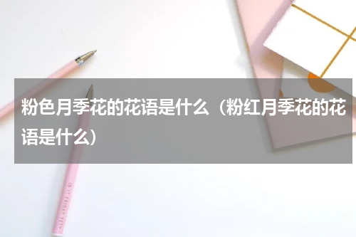 粉色月季花的花语是什么（粉红月季花的花语是什么）