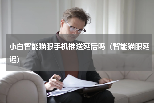 小白智能猫眼手机推送延后吗（智能猫眼延迟）