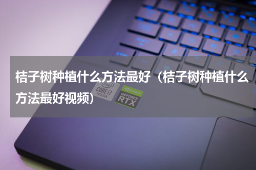 桔子树种植什么方法最好（桔子树种植什么方法最好视频）
