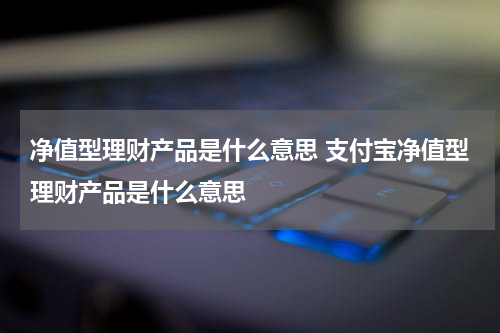 净值型理财产品是什么意思 支付宝净值型理财产品是什么意思