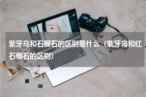 紫牙乌和石榴石的区别是什么（紫牙乌和红石榴石的区别）