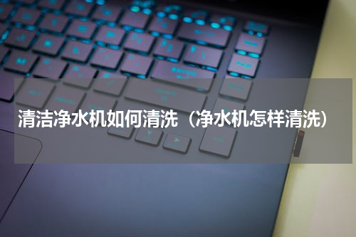 清洁净水机如何清洗（净水机怎样清洗）