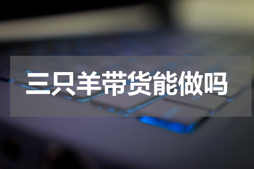三只羊带货能做吗