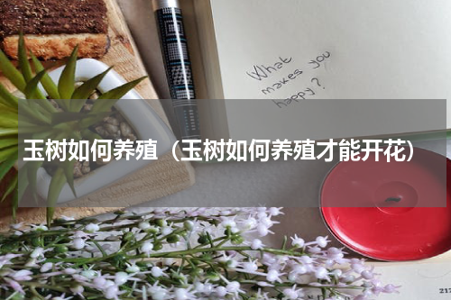 玉树如何养殖（玉树如何养殖才能开花）