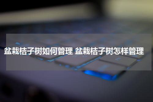 盆栽桔子树如何管理 盆栽桔子树怎样管理