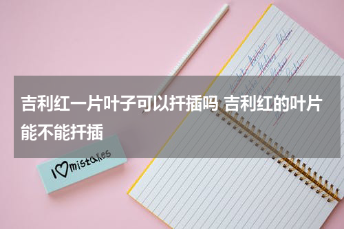 吉利红一片叶子可以扦插吗 吉利红的叶片能不能扦插