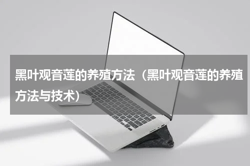 黑叶观音莲的养殖方法（黑叶观音莲的养殖方法与技术）