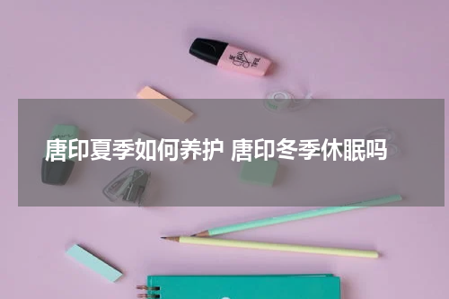 唐印夏季如何养护 唐印冬季休眠吗