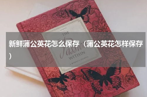 新鲜蒲公英花怎么保存（蒲公英花怎样保存）