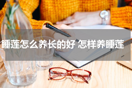 睡莲怎么养长的好 怎样养睡莲