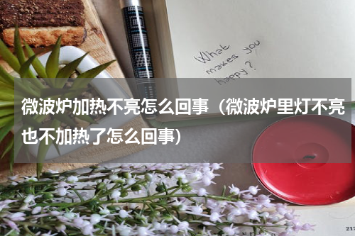 微波炉加热不亮怎么回事（微波炉里灯不亮也不加热了怎么回事）