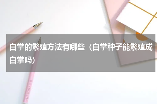 白掌的繁殖方法有哪些（白掌种子能繁殖成白掌吗）