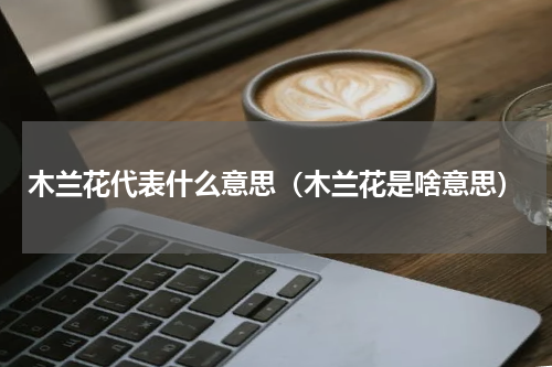 木兰花代表什么意思（木兰花是啥意思）