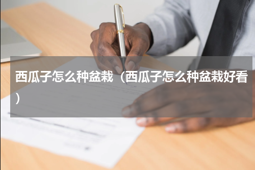 西瓜子怎么种盆栽（西瓜子怎么种盆栽好看）