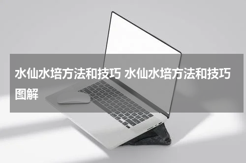 水仙水培方法和技巧 水仙水培方法和技巧图解