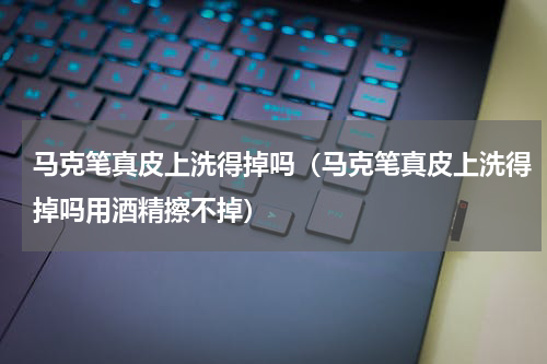 马克笔真皮上洗得掉吗（马克笔真皮上洗得掉吗用酒精擦不掉）